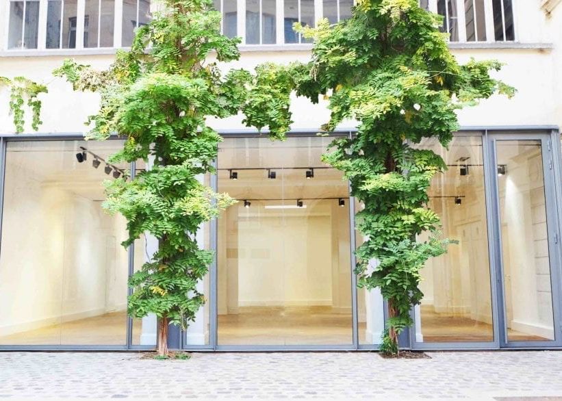 75003-175-124-Archives