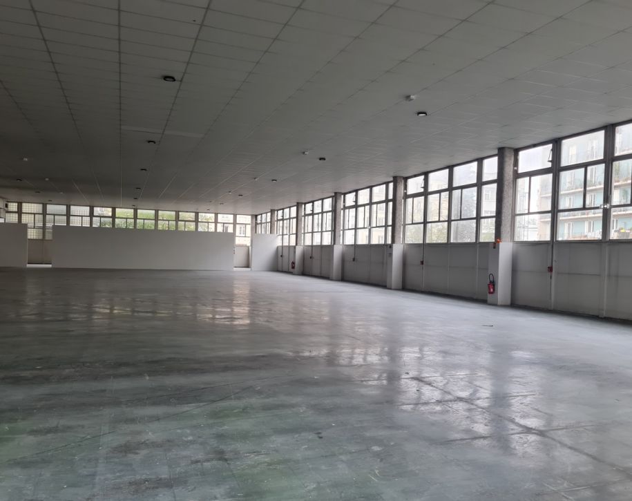 75005-1000-349-Jardin-des-Plantes