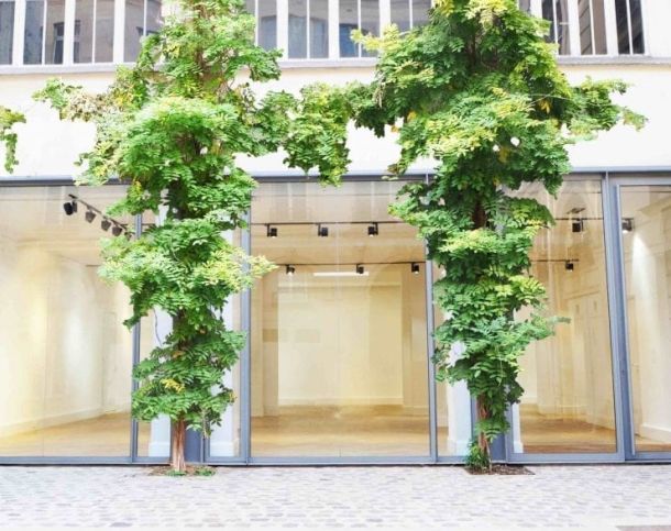 75003-175-124-Archives