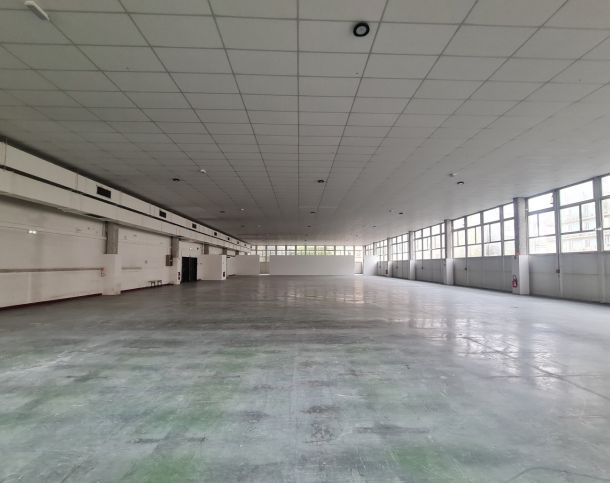 75005-1000-349-Jardin-des-Plantes