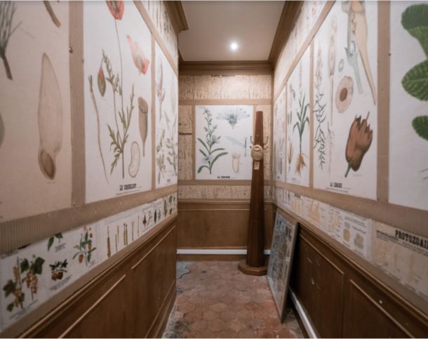 75006-150-337-Saint-Germain-des-Prés