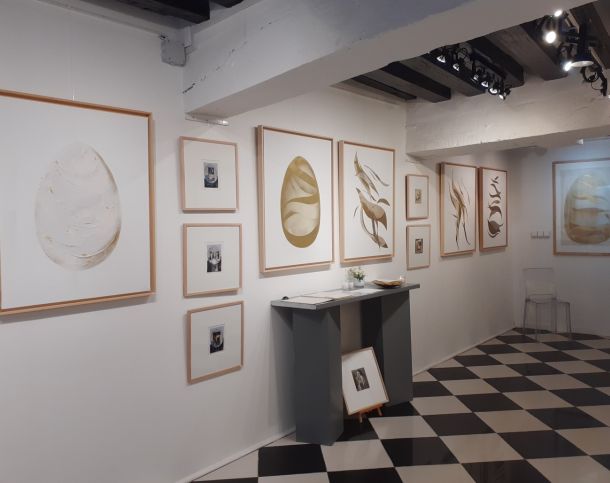 75005-40-442-Sorbonne