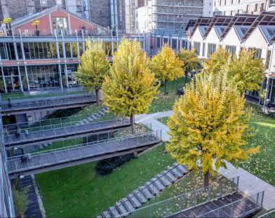 75018-1300-491-Clignancourt