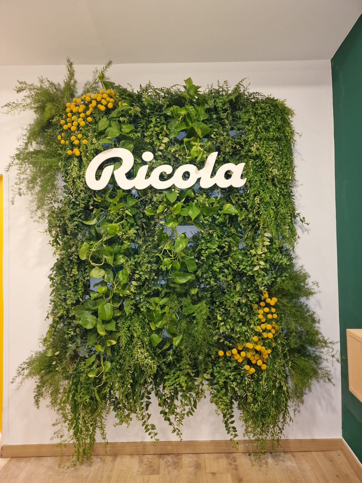 Ricola pop up longue durée, pop up store paris, location pop up store, test concept retail 
